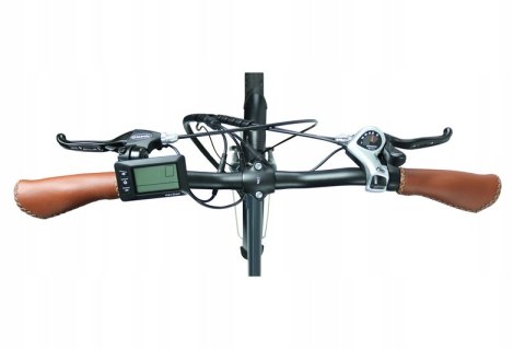 Blaupunkt "FRIDA" rower elektryczny składany 24 cale