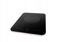 Can płyta indukcyjna i palnik 230V