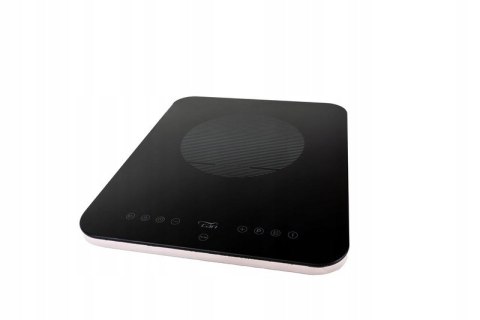 Can płyta indukcyjna i palnik 230V