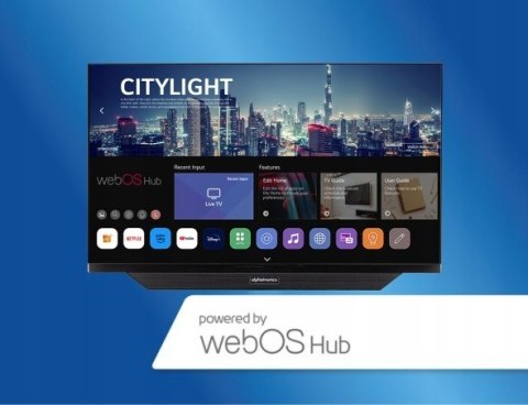 TELEWIZOR DO KAMPERA PRZYCZEPY ALPHATRONICS SLA DWS 24'' SMART TV 12V